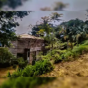  Bed & Breakfast Jungle Tree House Rangala Sri Lanka